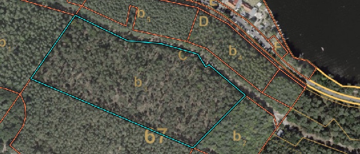 Forst GIS Anwendung gl-forest